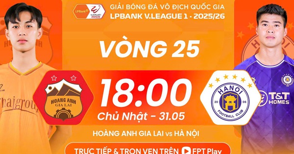 Link vào nhà cái Jin88