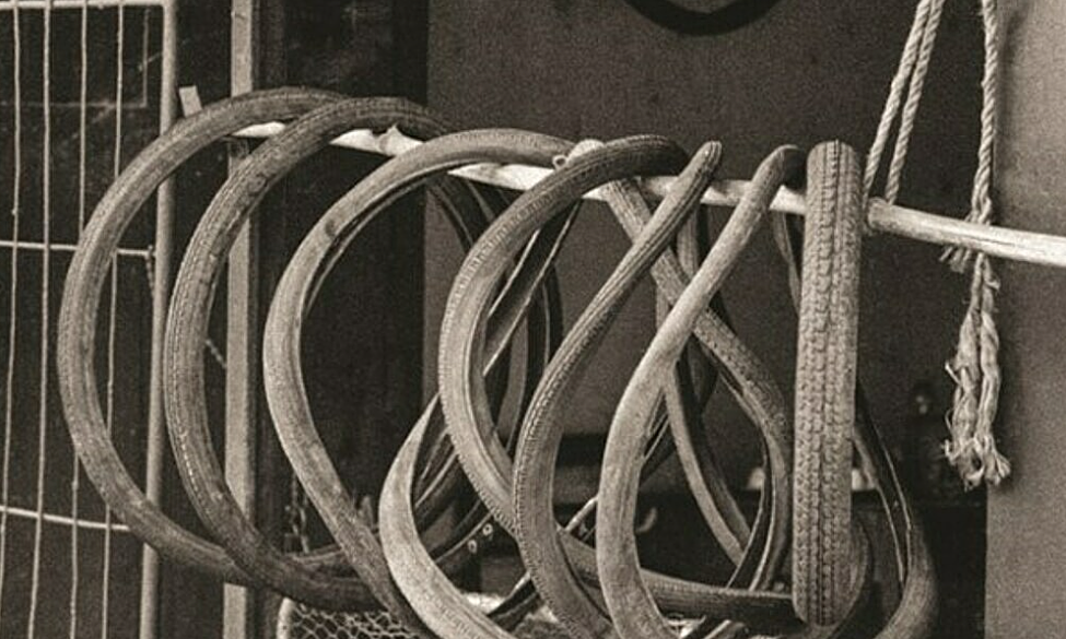 Jin88 eSports
