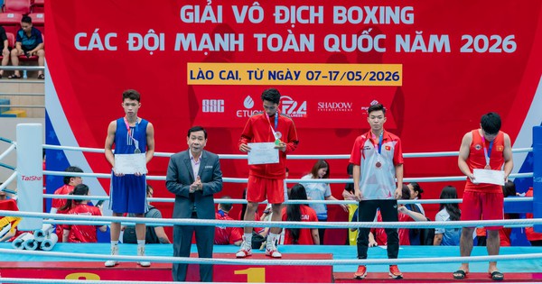 Jin88 cược thể thao