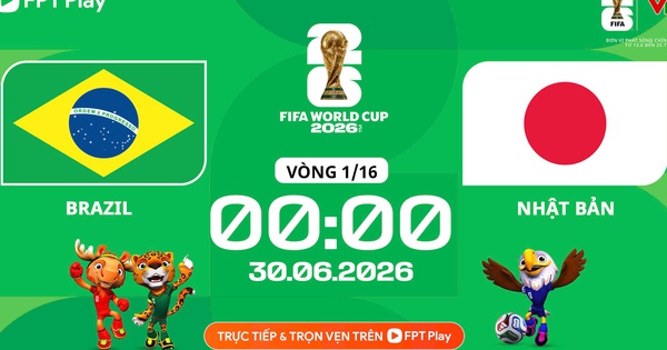 Jin88 cược thể thao