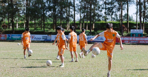 Jin88 chính thức